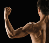 15 Best Bodybuilding exercises for Dorsals