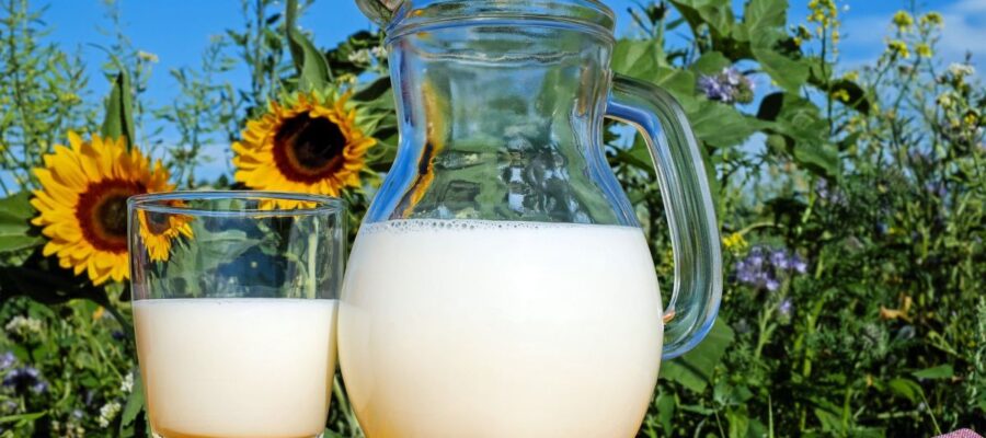 You are allowed the dairy products (cheese, yogurt) if you suffer from fatty liver? - Farewell Grasso