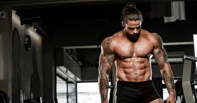 How to optimize muscle growth with a divided program - XXLNUTRATION