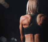 Square muscles | wistropa1 |Practical suggestions to optimize your training