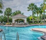 The guide to know everything (color, stone, …)