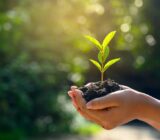 Why is it important to talk about ecology?