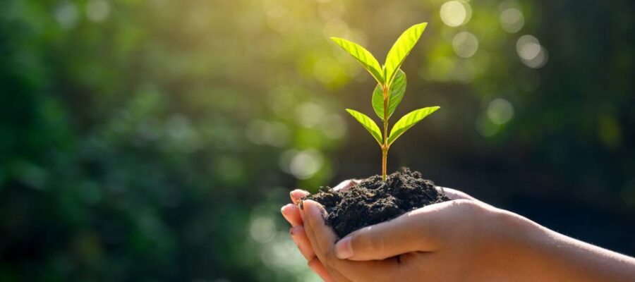 Why is it important to talk about ecology?