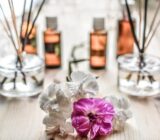 The 7 questions often asked about plant medicine