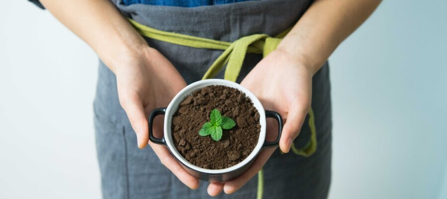 Ecologie