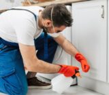 Which degradation service to contact in Nîmes?