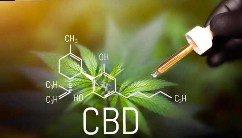 Better to better understand cannabis, hemp and marijuana 2