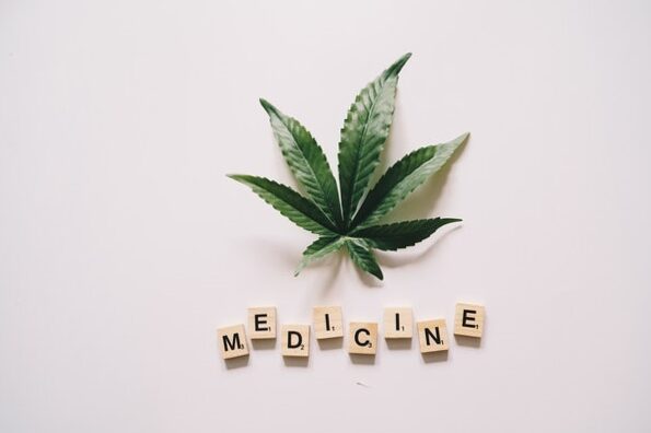 CBD infusion - Cent Pour Cent Naturel