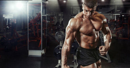 How to optimize muscle growth with a divided program - wistropa1