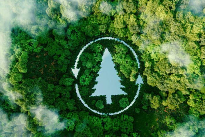 Offer ecological Christmas gifts | Ecological gifts for zero waste conservation 2