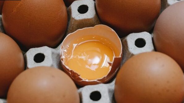 Pregnant Mapegno: can I eat mayonnaise during my pregnancy? 2