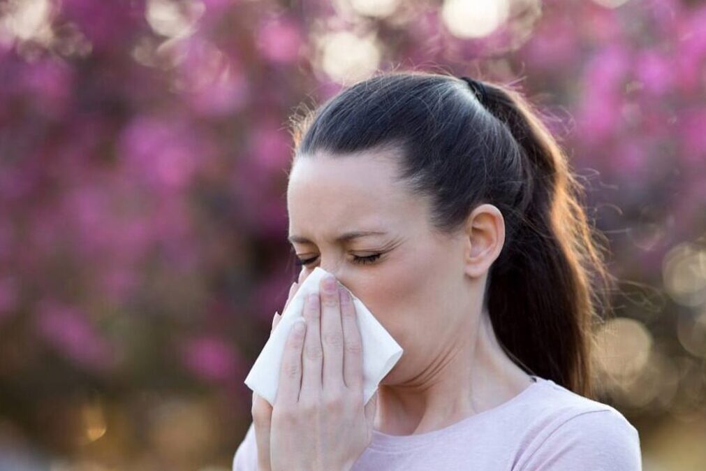 Seasonal allergies: a scourge that affects more and more individuals
