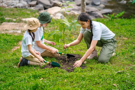 What is an eco-responsible activity committed?