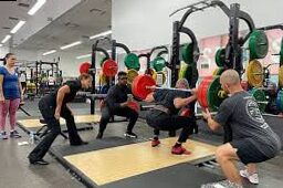 wistropa1 develops on a national scale